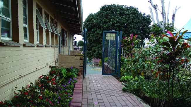 A path through the garden